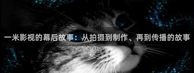 重生之门星辰影院在线观看