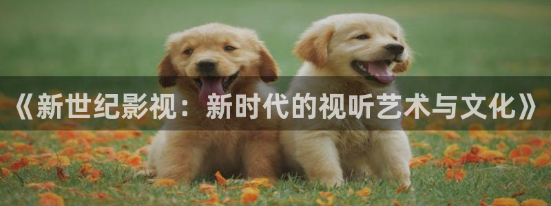 星辰影院黄