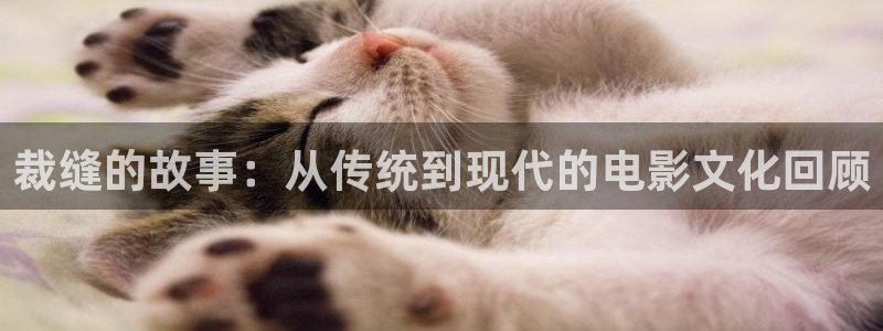夜天子星辰影视