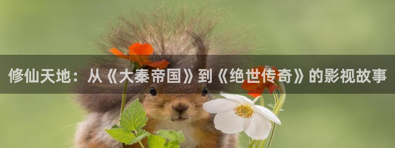 电视剧海上繁花星辰影院