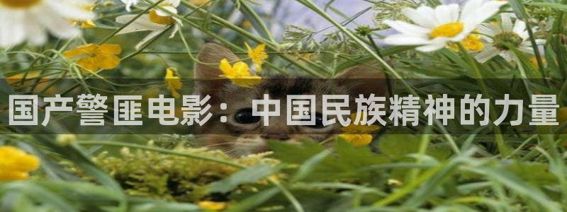 星辰策驰影院免费影院