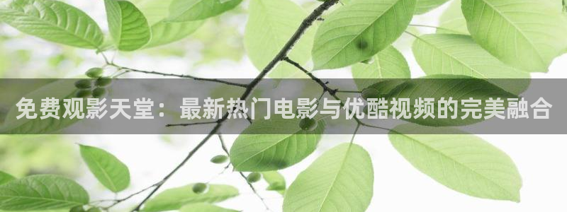 高清电影院星辰在线观看免费