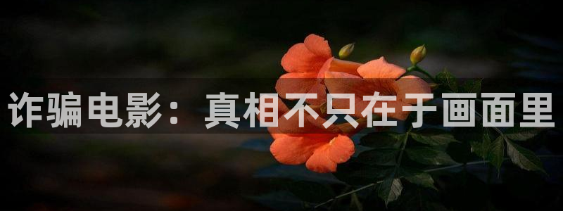 狂飙电视剧40集在线观看免费星辰影视