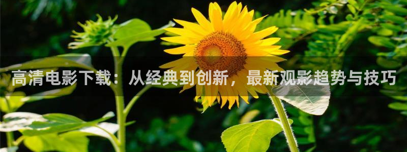 势均力敌的我们星辰影院