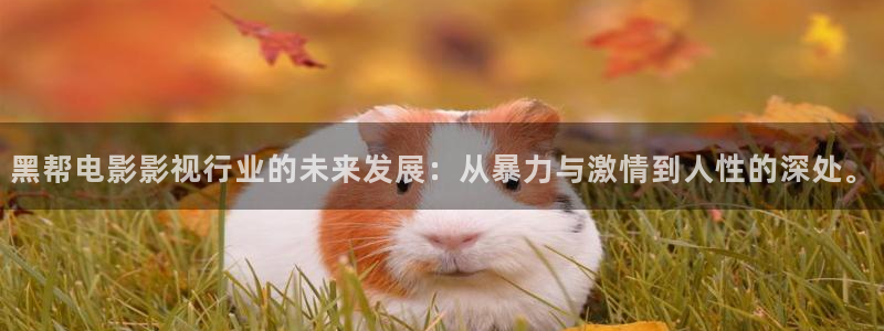 星辰影院幸福到万家