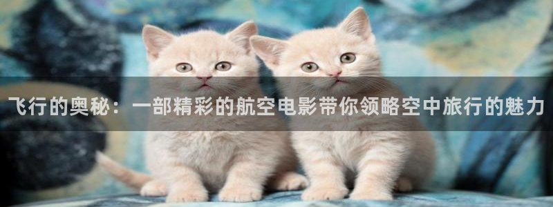 人民的名义免费版星辰影视