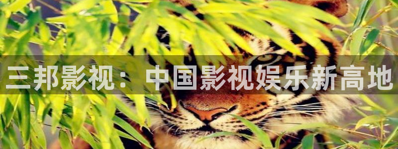 免费追剧星辰影院