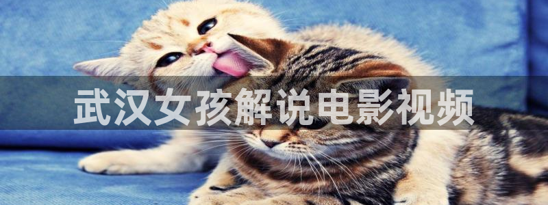 星辰影院在线观看最新电影