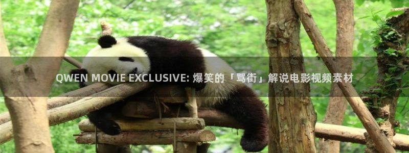 嫂子的职业星辰影院