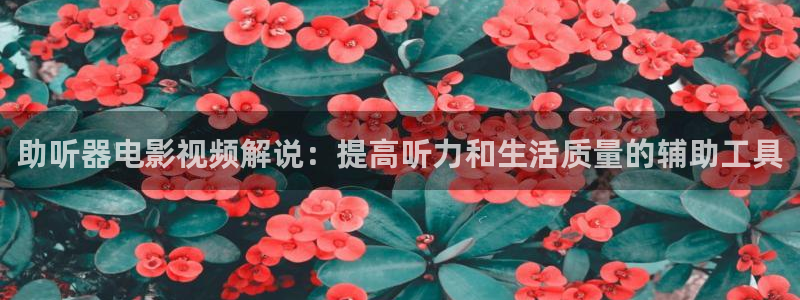 星辰影院大梦归离