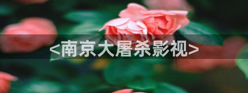 星辰影视破解版
