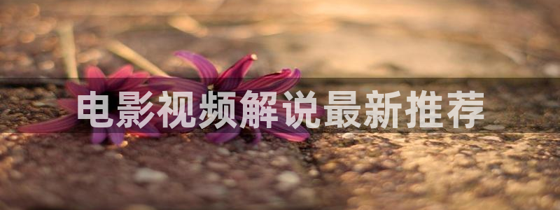 星辰影院大唐狄公案